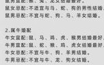 男羊女鼠婚配合适吗，鼠与牛相配吗