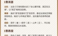 曹姓女孩起名 曹姓女孩名字2026属兔