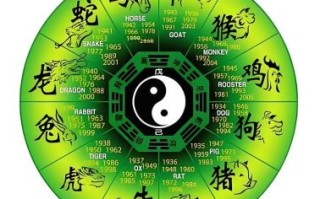 一息尚存猜生肖