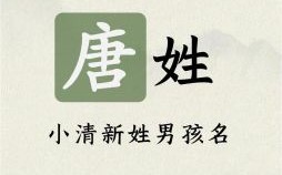 姓唐的女孩取什么名字好2020年 唐姓属兔女孩取名