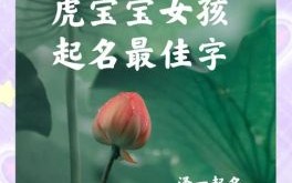 虎女孩名字大全 虎取名字最佳字女孩