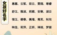 取女孩子的名字大全才华涵养 取女孩子的名字