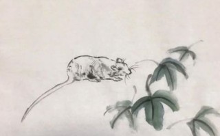 欲钱买最不干净的动物是什么生肖？最不干净动物正确生肖