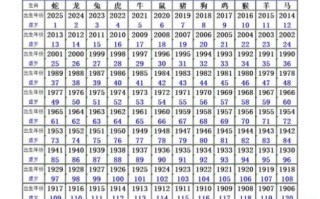 2025年属什么命 2025年属什么命一览表