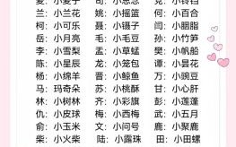 2020年新生女宝宝名字大全 2026新生女孩起名