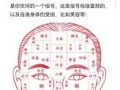 男性面相算命图解