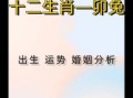 二零二二年属兔人全年运势 二零二五年属兔人全年运势