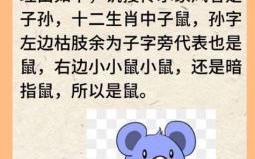 官员与流氓是什么生肖？流氓代表什么生肖