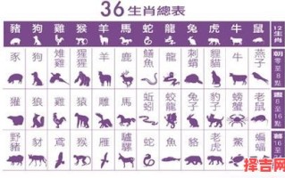 二四门必出是什么生肖？二三门是什么生肖动物