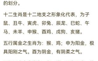 二零二五年生肖五行对照表 二零二五年生肖五行对照表
