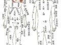 女性身体痣相图解，女性身体痣相图解解析