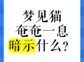 女人梦见猫的预兆解析：周公解梦告诉你答案