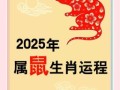属鼠人2025年全年运势与每月运势及不同年份属鼠人2025年运势