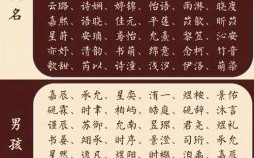 自字辈洋气名字 自字辈女孩取什么名字