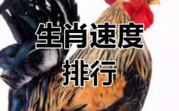 奔跑千里是什么生肖？奔跑打一最佳动物