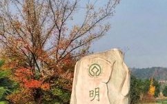 福地灵穴旺子嗣打一生肖