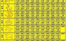 2025年属什么命格属性 2025年属什么命