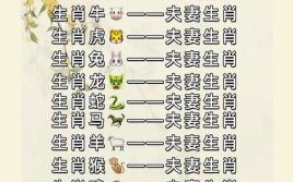 生肖相冲如何化解最佳婚配属相选择