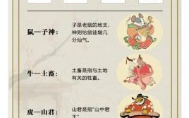 糖衣炮弹指哪个生肖 比喻什么动物