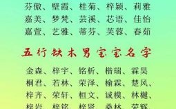 2021年缺木女宝宝名字 2026年兔年缺木女孩取名