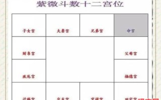 女命紫微坐福德宫，天福星守命宫