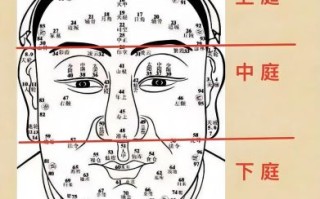 额头高好不好 十二种额头图解