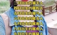 十五明月倍思亲是什么生肖？十五明月守其家打一生肖
