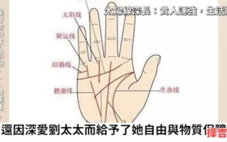 富贵掌纹 极其罕见的十大吉相图解