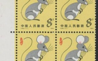 1984年是什么生肖