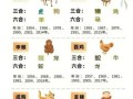 缵是什么生肖？诘打一准确生肖