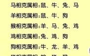 丑末相冲是什么生肖？与牛相冲相克的生肖