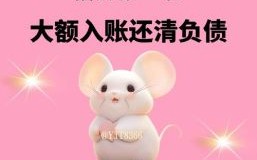 属鼠的情劫是哪个生肖 属鼠的人今年财运怎样