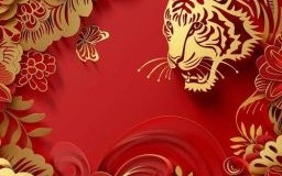 属虎之人不宜用红色哪些颜色长久吉利