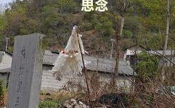 2023年上坟最佳时间 2023年清明不能上坟的原因