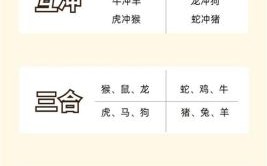 一海九洲是什么生肖？一海九洲打一最佳生肖