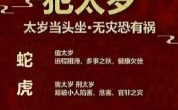 2025年犯太岁生肖马 秦东魁讲2025年犯太岁