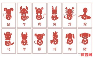 哪个生肖