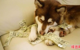 王可可什么意思 王可可女孩名字怎么样