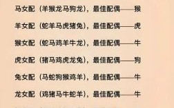属鸡男生最佳婚配属相，生肖配对解析与建议