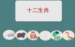 蕉梦寻踪猜生肖