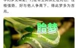 女人梦见黑蛇预示着什么意思是胎梦吗