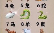 七上八下是什么生肖
