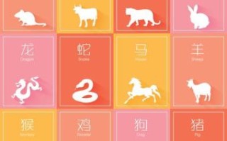 一正一反是什么生肖？反正是打一准确生肖