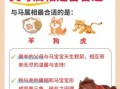 属马女和属马男适合生什么生肖孩子，生肖马和哪些生肖最配