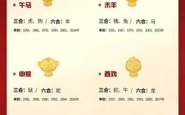 农历6月是什么生肖月？6月生肖属什么生肖