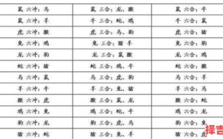 天罗地网最强属相答案