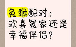 猴前兔后是什么生肖？兔猴组合的成语是什么