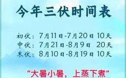 2020年入伏从哪一天开始