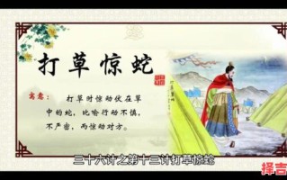 打草惊蛇指什么生肖