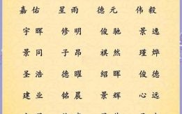 2026年女孩鼠宝宝名字叫什么 2026年女孩鼠宝宝名字